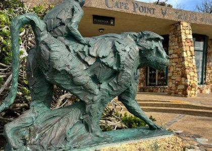 Cape Point tour from Cape Town