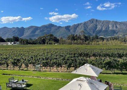 Cape Winelands wine tour